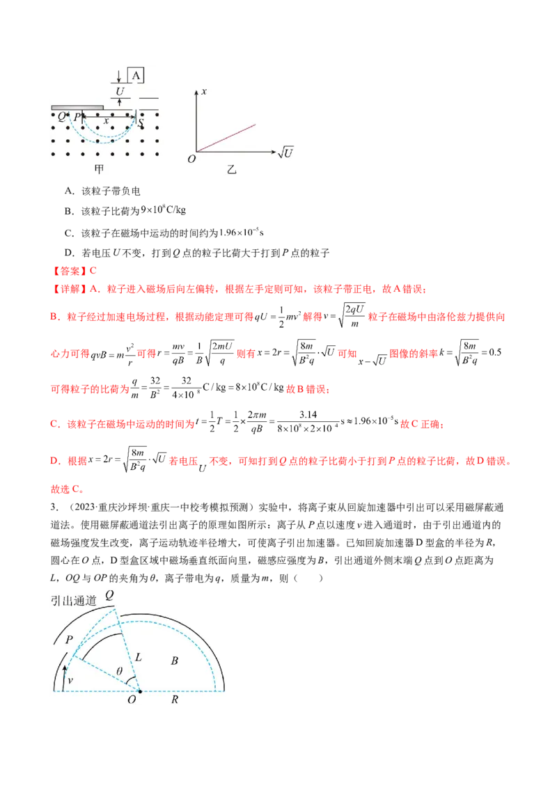 第52讲洛伦兹力与现代科技（练习）（解析版）_4.2025物理总复习_2024年新高考资料_1.2024一轮复习_2024年高考物理一轮复习讲练测（新教材新高考）_第52讲洛伦兹力与现代科技（练习）