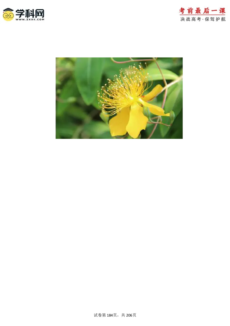 物理-2024年高考考前最后一课_4.2025物理总复习_2024年新高考资料_5.2024三轮冲刺_物理（含PDF，可直接打印）-2024年高考考前最后一课