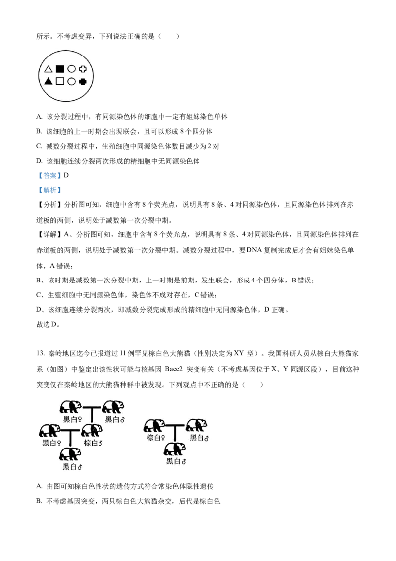 安徽省合肥市一六八中学2024-2025学年高三上学期10月月考试题生物Word版含解析_A1502026各地模拟卷（超值！）_10月_241022安徽省合肥市一六八中学2024-2025学年高三上学期10月月考