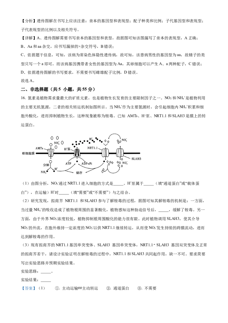 安徽省合肥市一六八中学2024-2025学年高三上学期10月月考试题生物Word版含解析_A1502026各地模拟卷（超值！）_10月_241022安徽省合肥市一六八中学2024-2025学年高三上学期10月月考