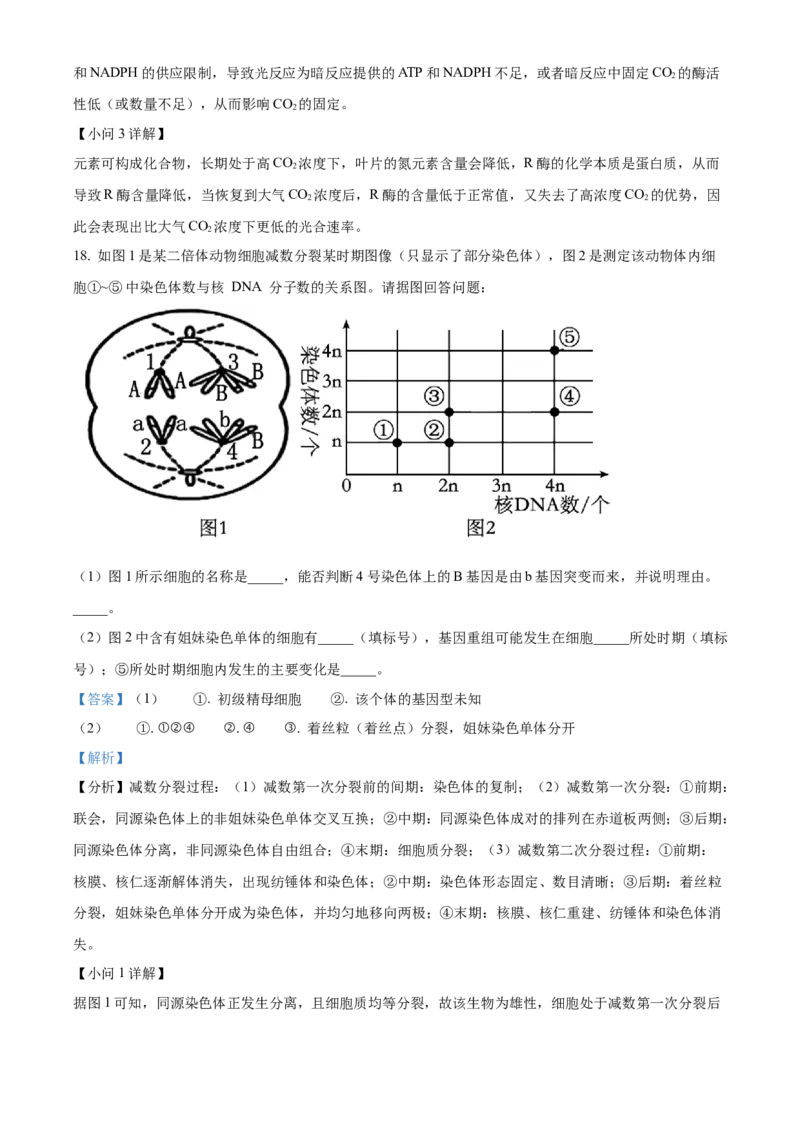 安徽省合肥市一六八中学2024-2025学年高三上学期10月月考试题生物Word版含解析_A1502026各地模拟卷（超值！）_10月_241022安徽省合肥市一六八中学2024-2025学年高三上学期10月月考