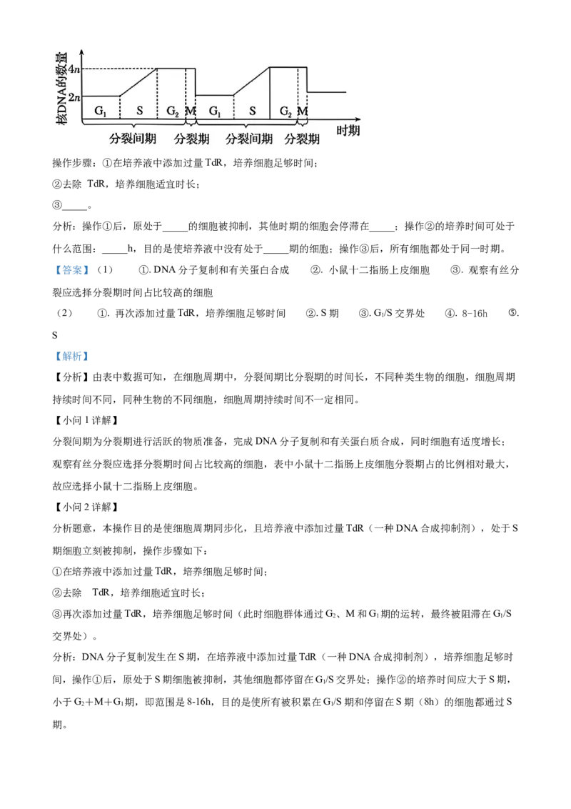 安徽省合肥市一六八中学2024-2025学年高三上学期10月月考试题生物Word版含解析_A1502026各地模拟卷（超值！）_10月_241022安徽省合肥市一六八中学2024-2025学年高三上学期10月月考