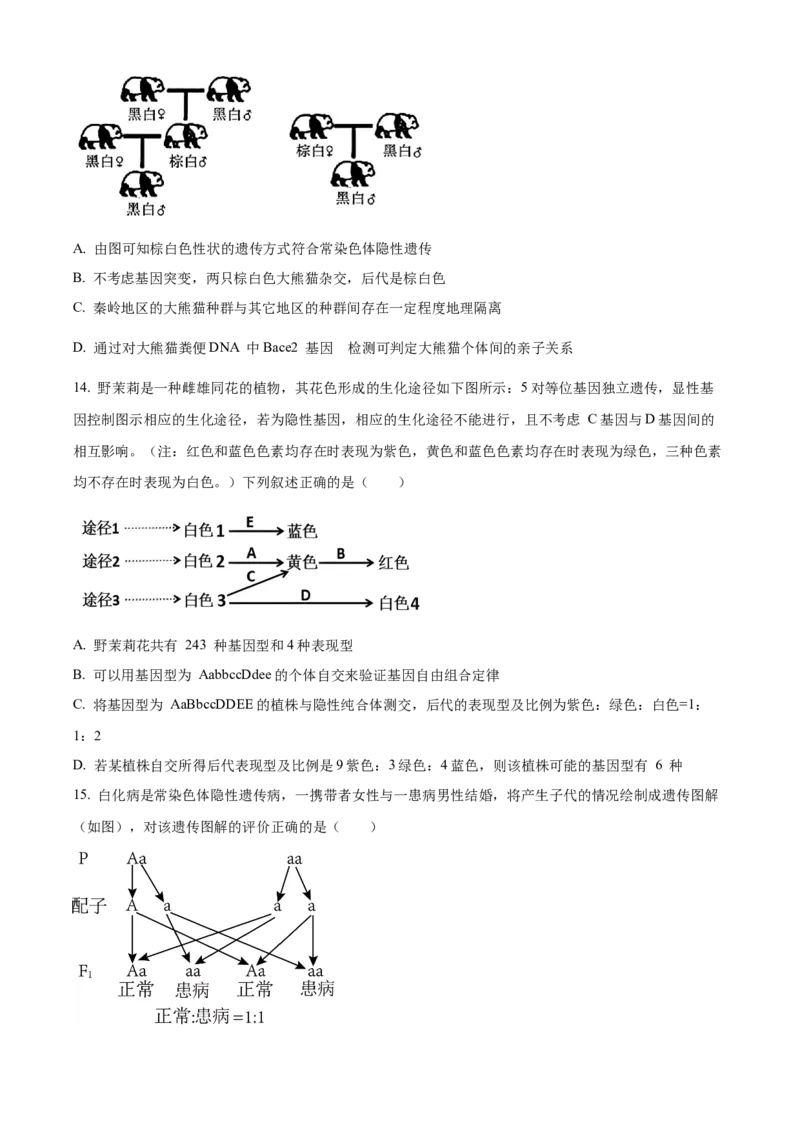 安徽省合肥市一六八中学2024-2025学年高三上学期10月月考试题生物Word版含解析_A1502026各地模拟卷（超值！）_10月_241022安徽省合肥市一六八中学2024-2025学年高三上学期10月月考