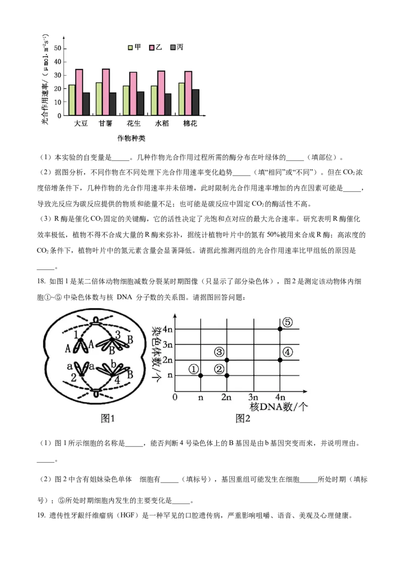 安徽省合肥市一六八中学2024-2025学年高三上学期10月月考试题生物Word版含解析_A1502026各地模拟卷（超值！）_10月_241022安徽省合肥市一六八中学2024-2025学年高三上学期10月月考