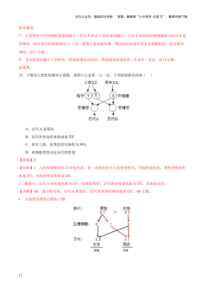 主题六遗传与进化（测试）（测试）（解析版）_02中考总复习（2026版更新中）_08-生物-中考总复习_2025中考复习资料_2025中考二轮课件ppt+讲义+练习生物_测试