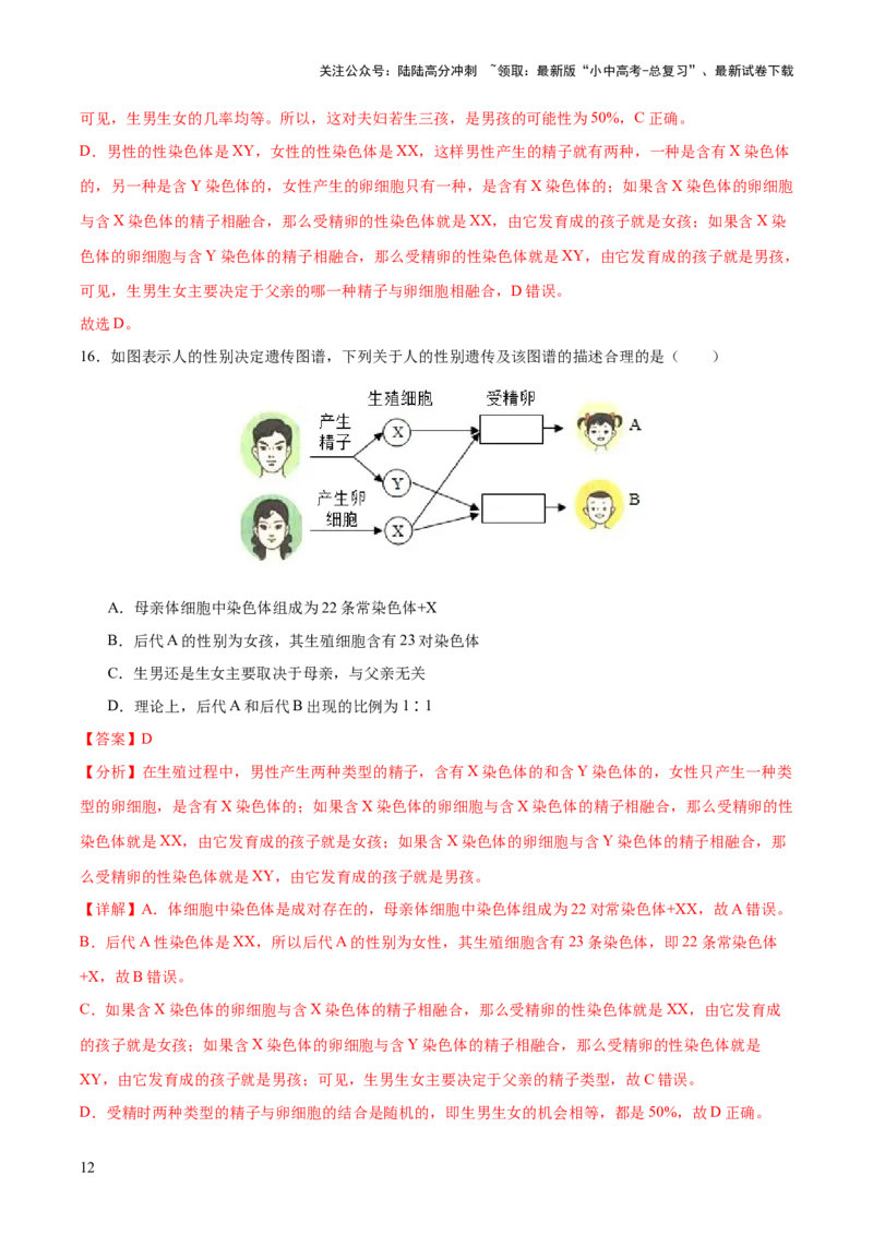 主题六遗传与进化（测试）（测试）（解析版）_02中考总复习（2026版更新中）_08-生物-中考总复习_2025中考复习资料_2025中考二轮课件ppt+讲义+练习生物_测试