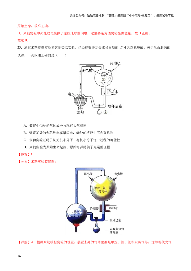 主题六遗传与进化（测试）（测试）（解析版）_02中考总复习（2026版更新中）_08-生物-中考总复习_2025中考复习资料_2025中考二轮课件ppt+讲义+练习生物_测试