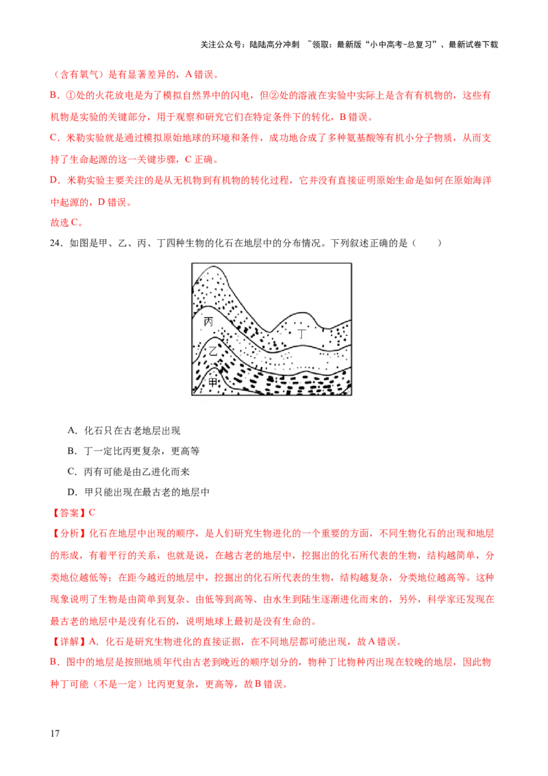 主题六遗传与进化（测试）（测试）（解析版）_02中考总复习（2026版更新中）_08-生物-中考总复习_2025中考复习资料_2025中考二轮课件ppt+讲义+练习生物_测试