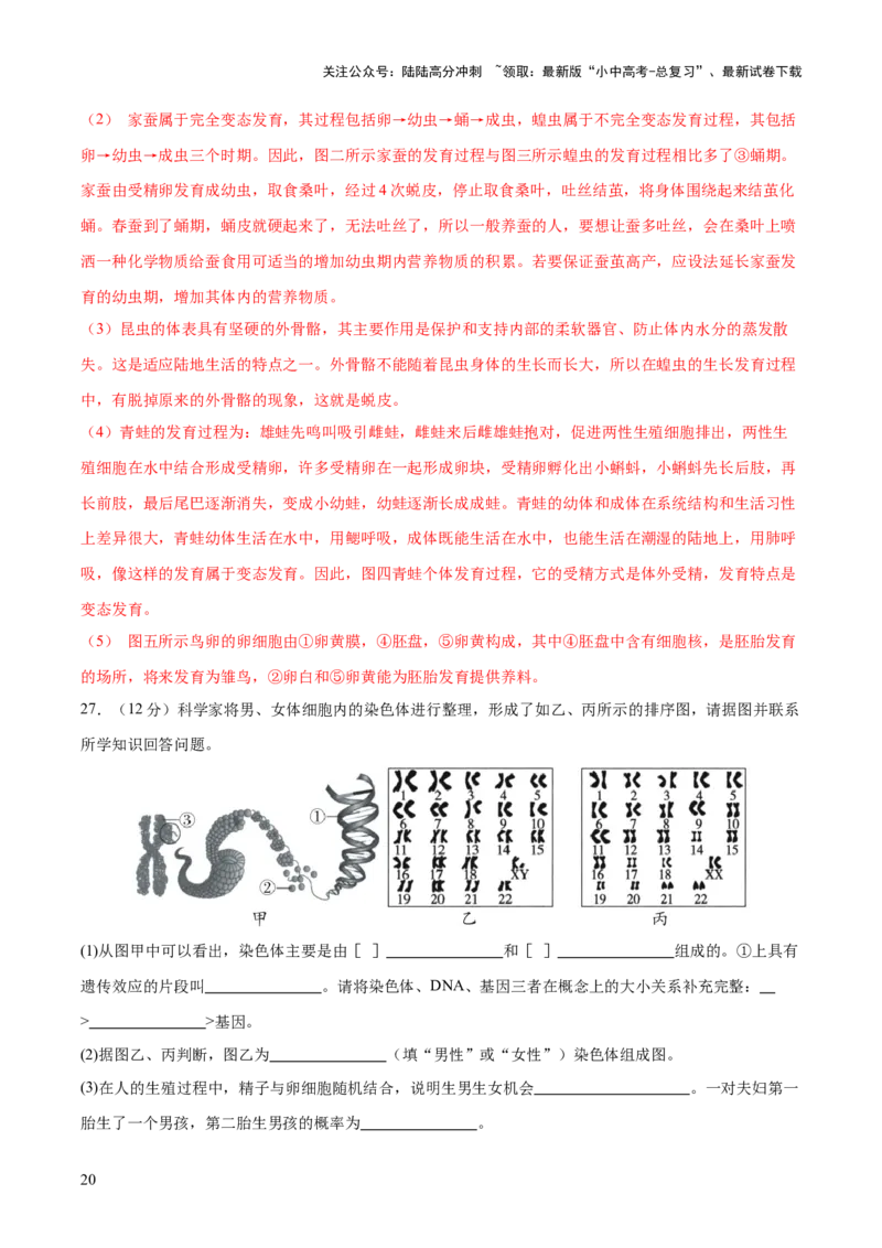 主题六遗传与进化（测试）（测试）（解析版）_02中考总复习（2026版更新中）_08-生物-中考总复习_2025中考复习资料_2025中考二轮课件ppt+讲义+练习生物_测试