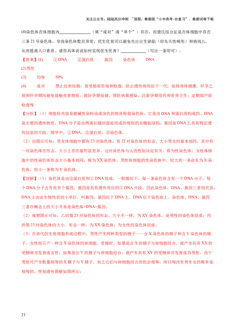 主题六遗传与进化（测试）（测试）（解析版）_02中考总复习（2026版更新中）_08-生物-中考总复习_2025中考复习资料_2025中考二轮课件ppt+讲义+练习生物_测试