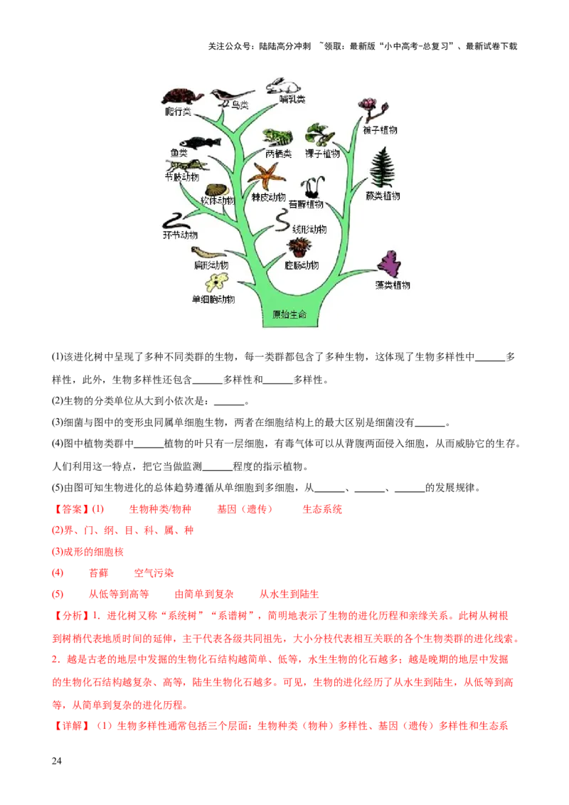 主题六遗传与进化（测试）（测试）（解析版）_02中考总复习（2026版更新中）_08-生物-中考总复习_2025中考复习资料_2025中考二轮课件ppt+讲义+练习生物_测试