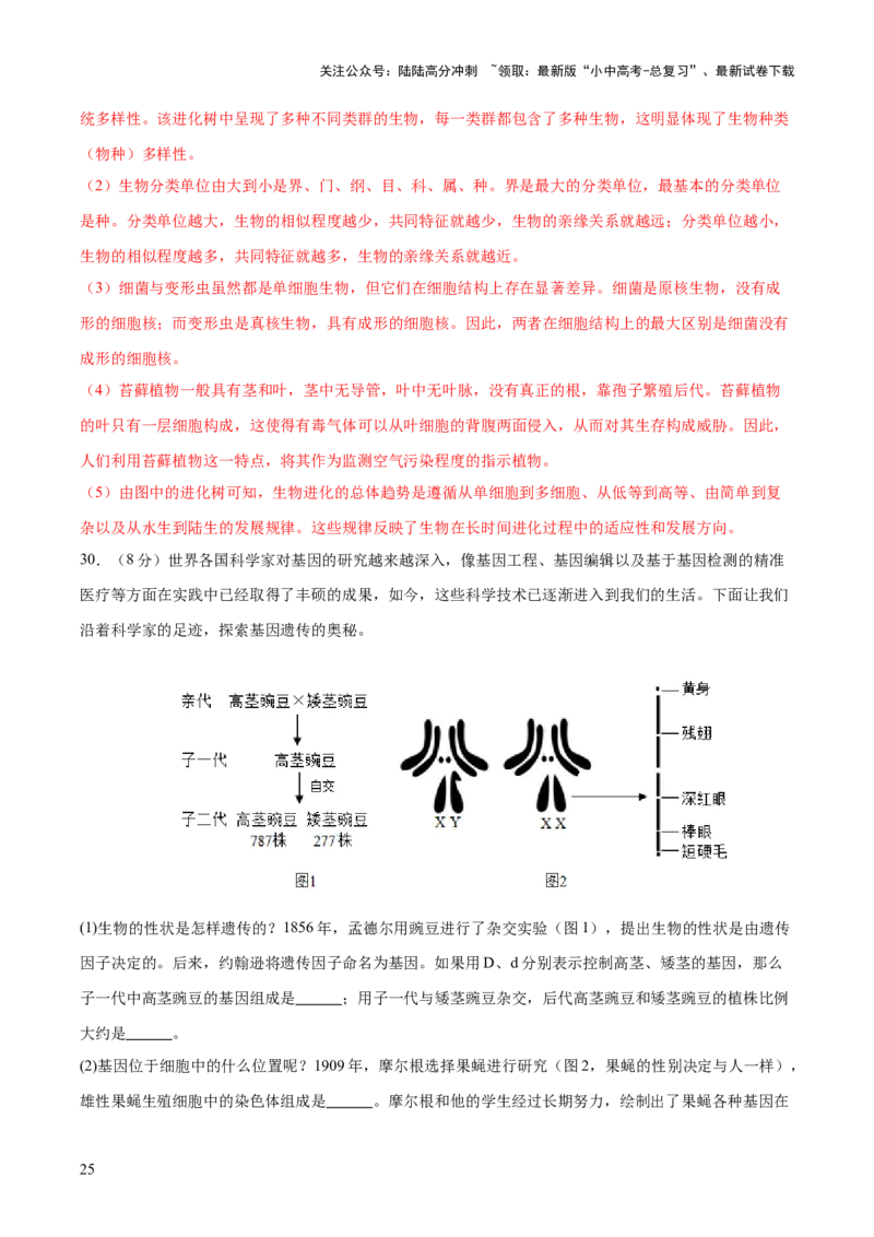 主题六遗传与进化（测试）（测试）（解析版）_02中考总复习（2026版更新中）_08-生物-中考总复习_2025中考复习资料_2025中考二轮课件ppt+讲义+练习生物_测试
