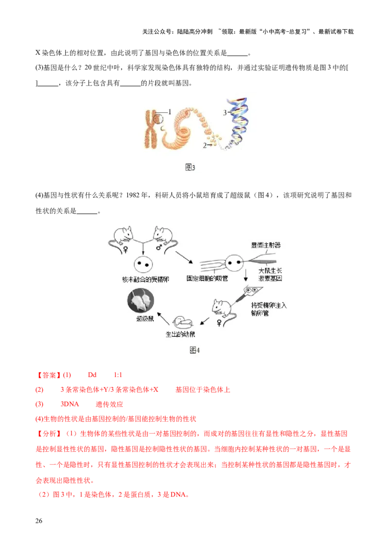 主题六遗传与进化（测试）（测试）（解析版）_02中考总复习（2026版更新中）_08-生物-中考总复习_2025中考复习资料_2025中考二轮课件ppt+讲义+练习生物_测试