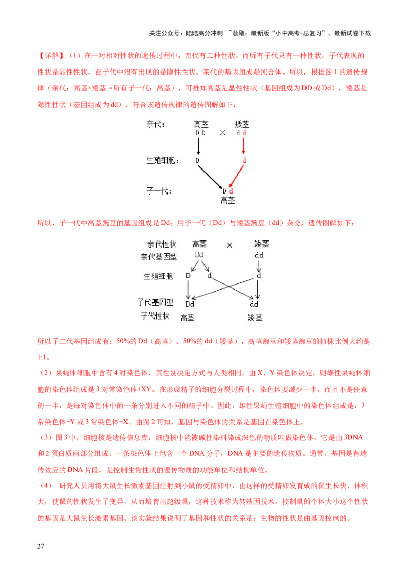 主题六遗传与进化（测试）（测试）（解析版）_02中考总复习（2026版更新中）_08-生物-中考总复习_2025中考复习资料_2025中考二轮课件ppt+讲义+练习生物_测试