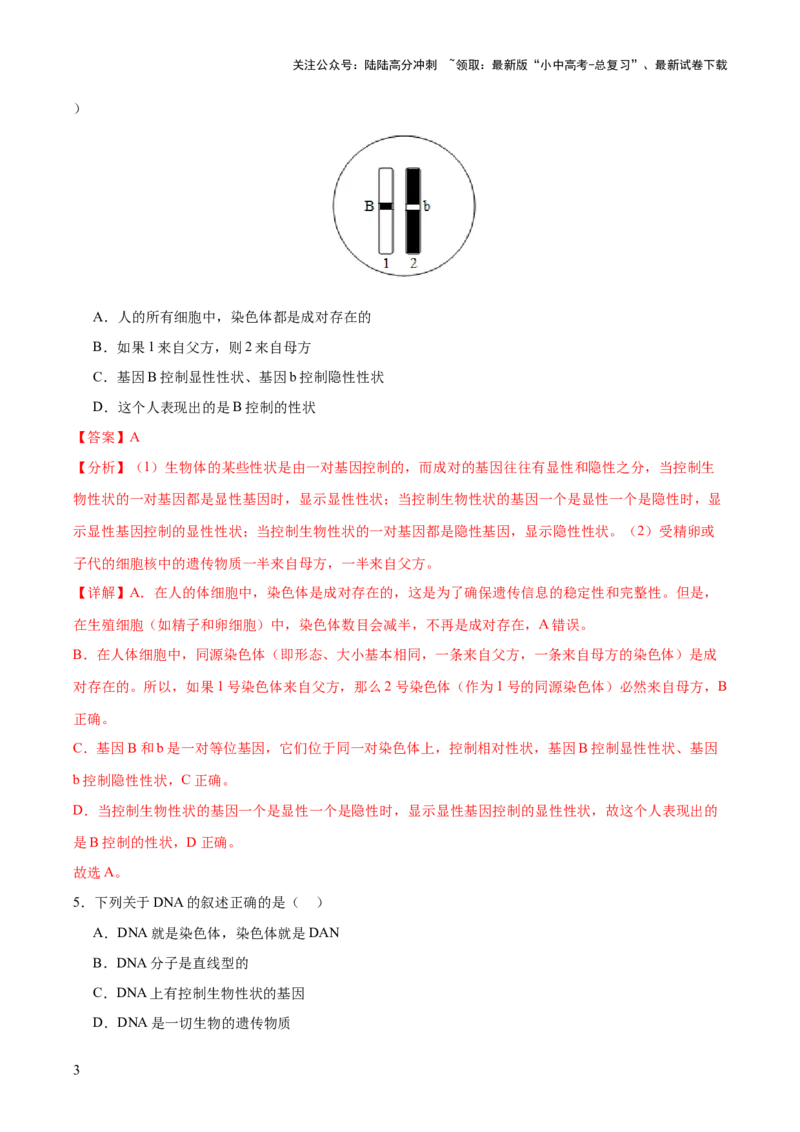 主题六遗传与进化（测试）（测试）（解析版）_02中考总复习（2026版更新中）_08-生物-中考总复习_2025中考复习资料_2025中考二轮课件ppt+讲义+练习生物_测试