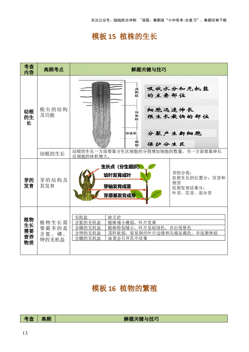 初中生物29大知识专题答题技巧与模板汇总_02中考总复习（2026版更新中）_08-生物-中考总复习_2025中考复习资料_2025年中考生物答题方法模板