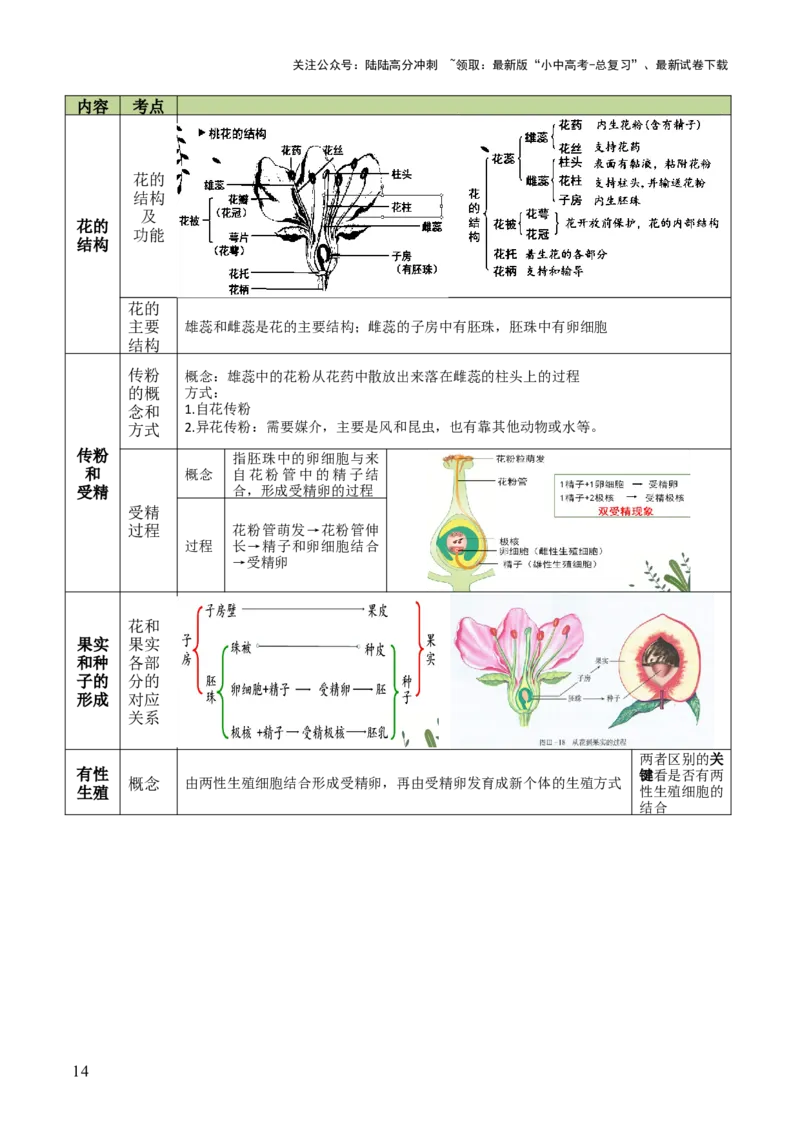 初中生物29大知识专题答题技巧与模板汇总_02中考总复习（2026版更新中）_08-生物-中考总复习_2025中考复习资料_2025年中考生物答题方法模板
