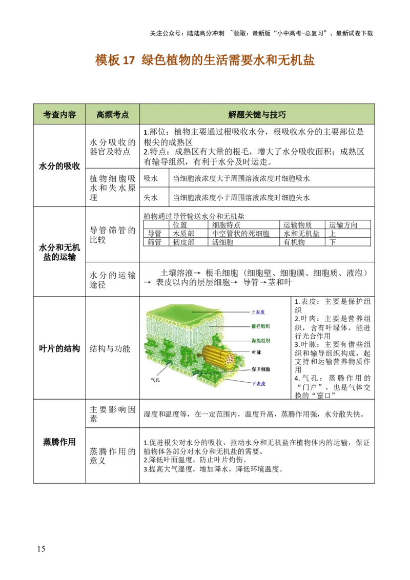 初中生物29大知识专题答题技巧与模板汇总_02中考总复习（2026版更新中）_08-生物-中考总复习_2025中考复习资料_2025年中考生物答题方法模板