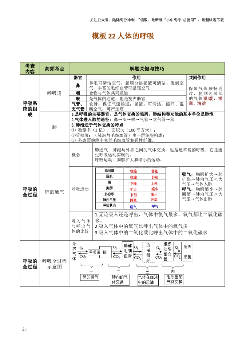 初中生物29大知识专题答题技巧与模板汇总_02中考总复习（2026版更新中）_08-生物-中考总复习_2025中考复习资料_2025年中考生物答题方法模板