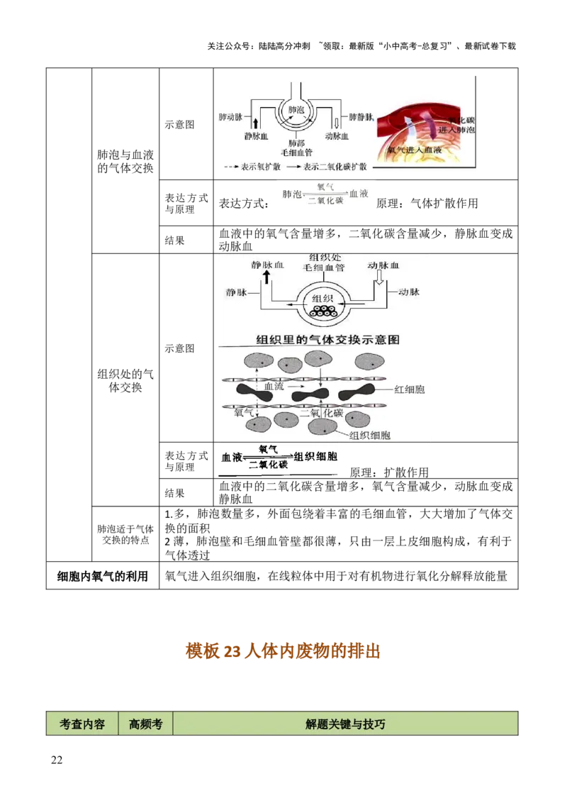 初中生物29大知识专题答题技巧与模板汇总_02中考总复习（2026版更新中）_08-生物-中考总复习_2025中考复习资料_2025年中考生物答题方法模板