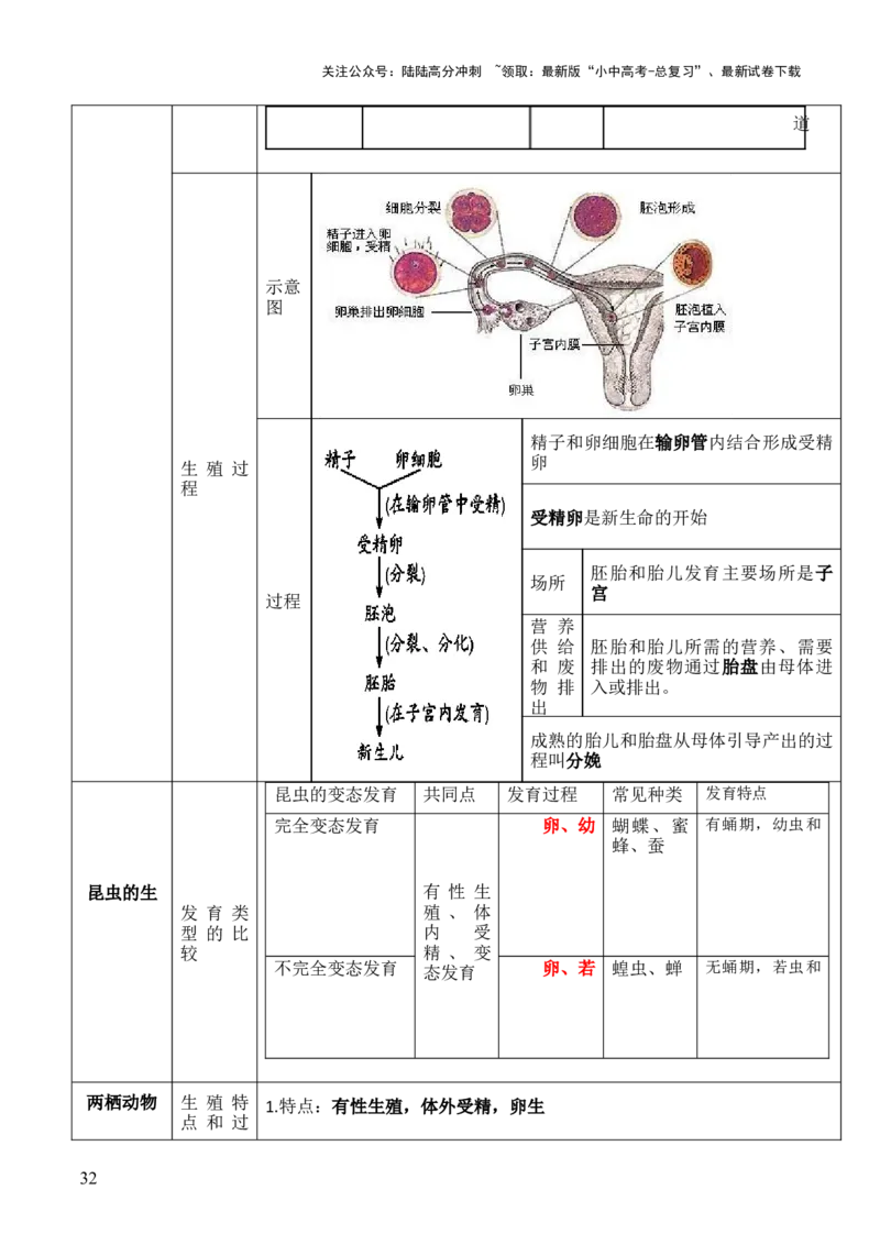 初中生物29大知识专题答题技巧与模板汇总_02中考总复习（2026版更新中）_08-生物-中考总复习_2025中考复习资料_2025年中考生物答题方法模板