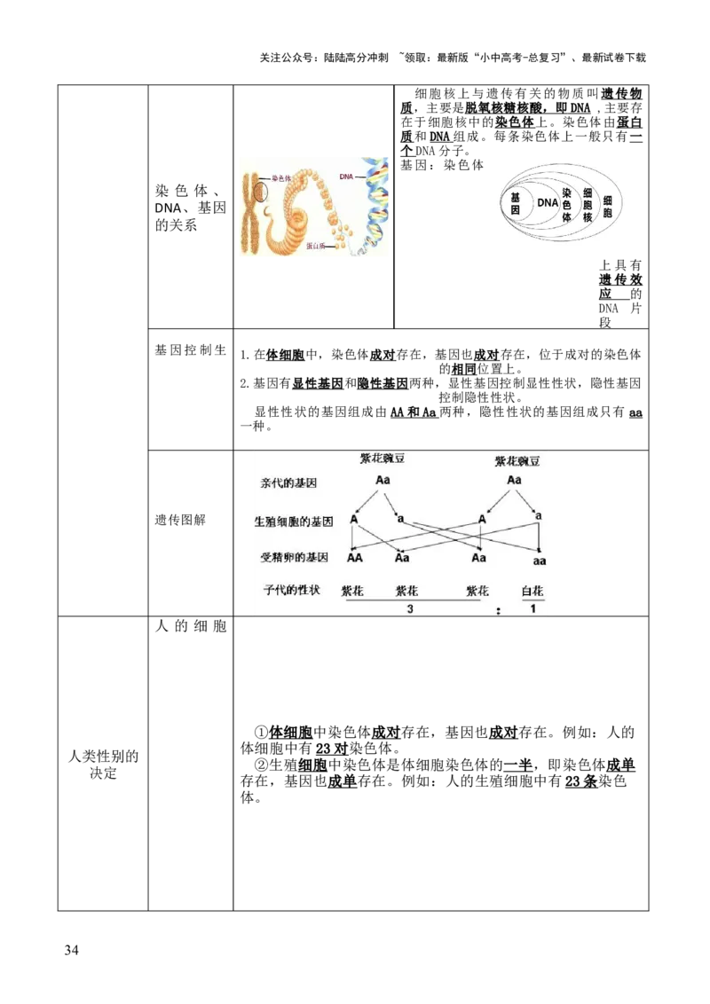 初中生物29大知识专题答题技巧与模板汇总_02中考总复习（2026版更新中）_08-生物-中考总复习_2025中考复习资料_2025年中考生物答题方法模板