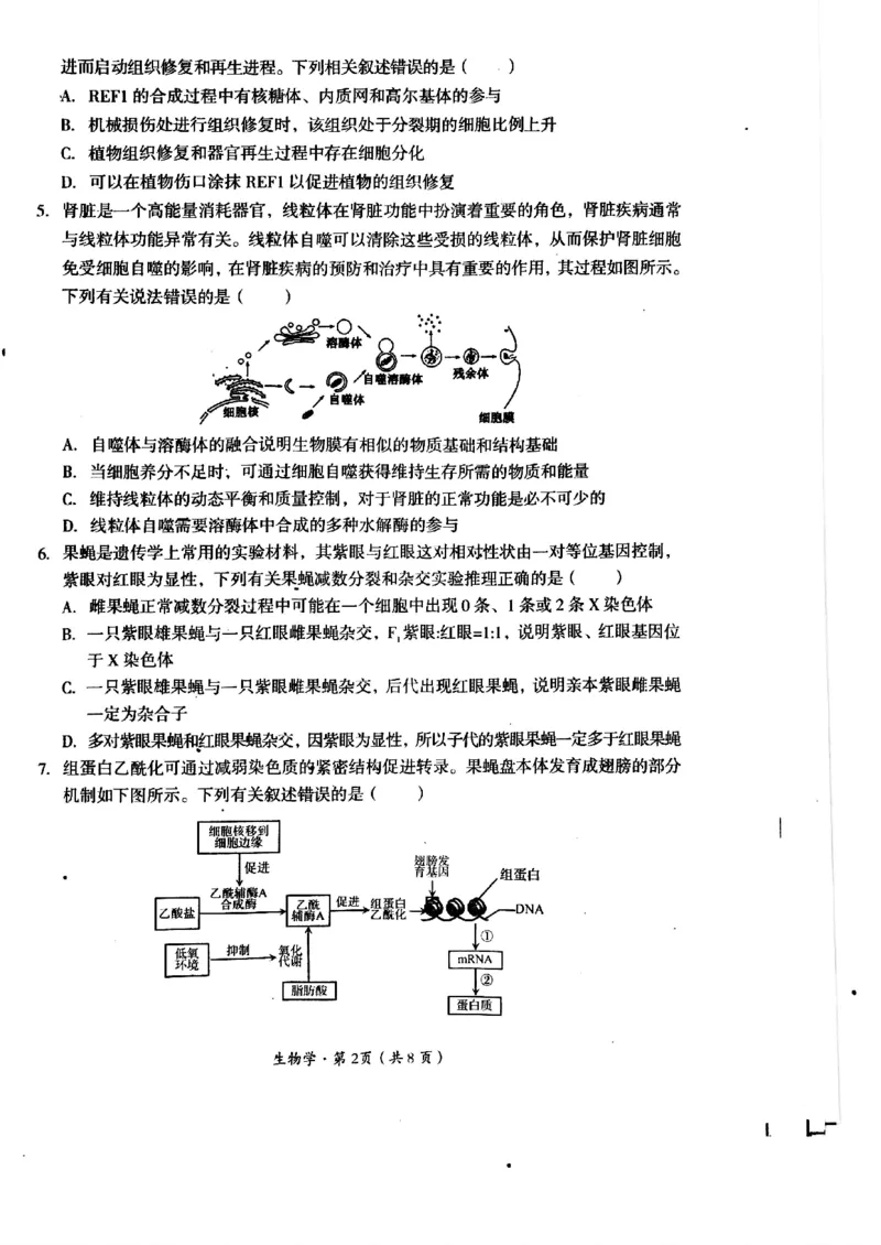 2025届四川省巴中市高三&ldquo;零诊&rdquo;考试生物试题_A1502026各地模拟卷（超值！）_9月_240920四川省巴中市2025届高三上学期&ldquo;零诊&rdquo;考试