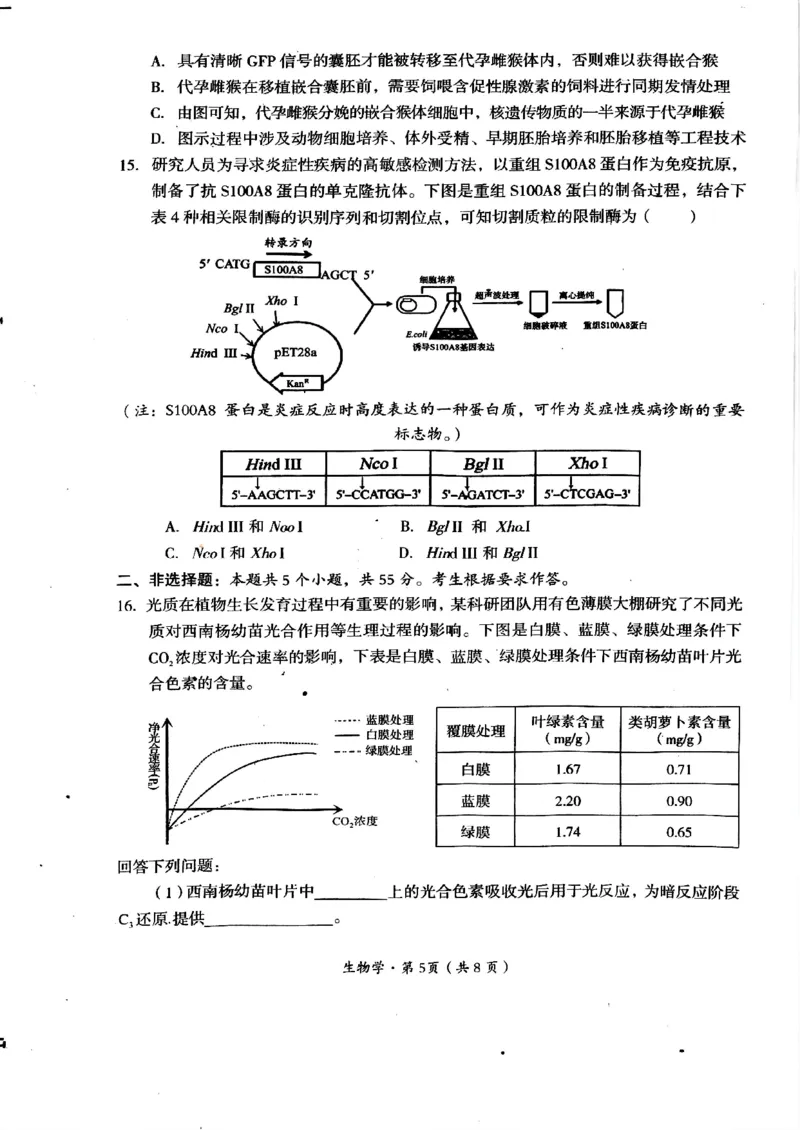 2025届四川省巴中市高三&ldquo;零诊&rdquo;考试生物试题_A1502026各地模拟卷（超值！）_9月_240920四川省巴中市2025届高三上学期&ldquo;零诊&rdquo;考试