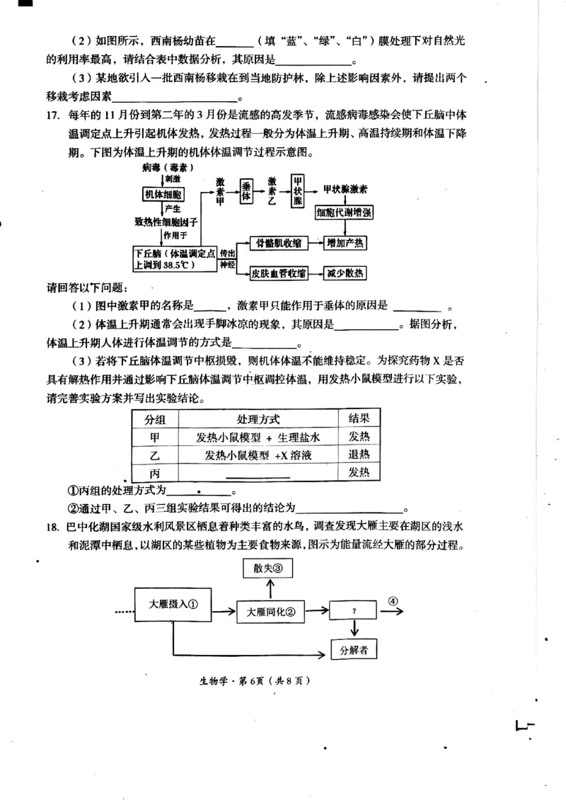 2025届四川省巴中市高三&ldquo;零诊&rdquo;考试生物试题_A1502026各地模拟卷（超值！）_9月_240920四川省巴中市2025届高三上学期&ldquo;零诊&rdquo;考试
