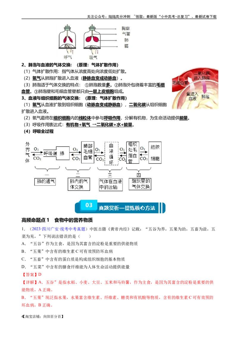 清单05人体的营养与呼吸（5大考点+5大高频命题点）（教师版）_02中考总复习（2026版更新中）_08-生物-中考总复习_2024年中考复习资料_一轮复习_教师版（含答案解析）