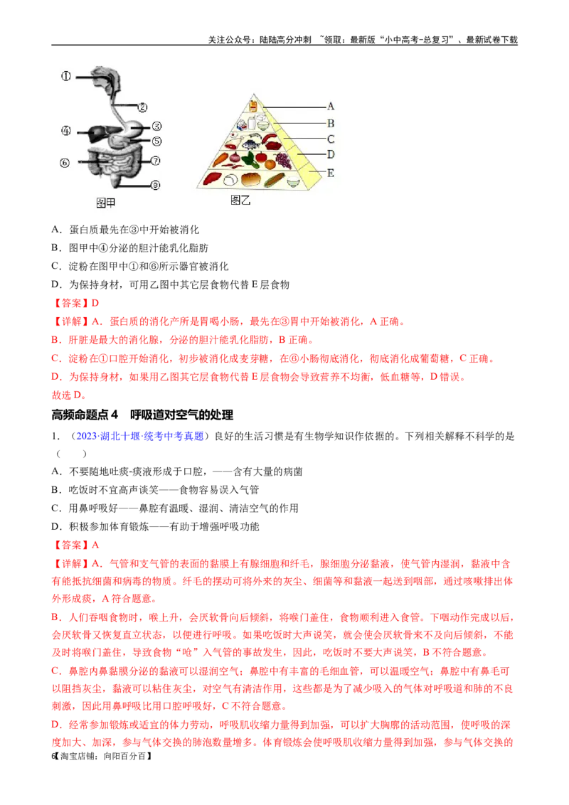 清单05人体的营养与呼吸（5大考点+5大高频命题点）（教师版）_02中考总复习（2026版更新中）_08-生物-中考总复习_2024年中考复习资料_一轮复习_教师版（含答案解析）