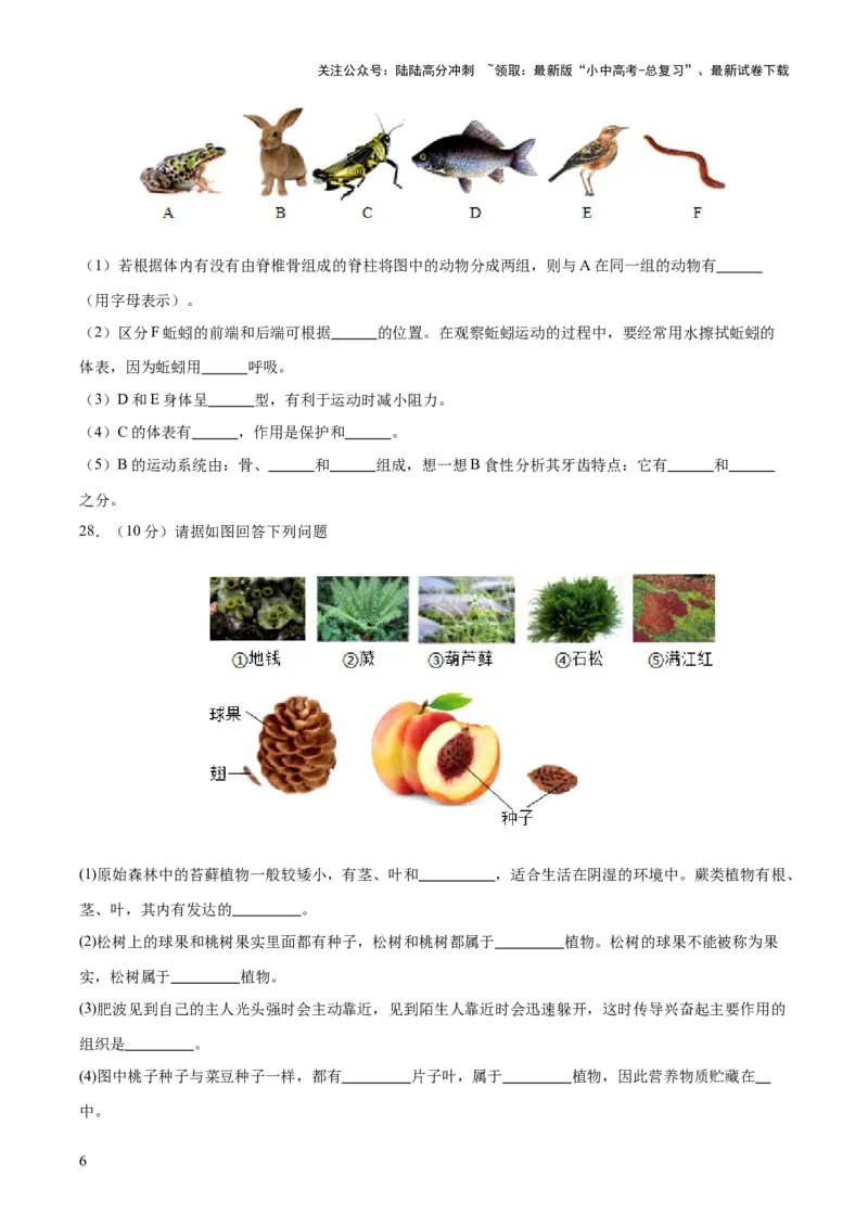主题二生物的多样性（测试）（原卷版）_02中考总复习（2026版更新中）_08-生物-中考总复习_2025中考复习资料_2025中考二轮课件ppt+讲义+练习生物_测试