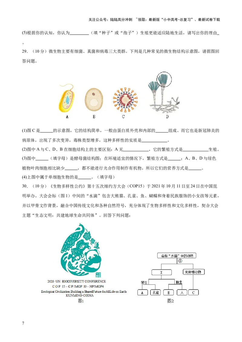 主题二生物的多样性（测试）（原卷版）_02中考总复习（2026版更新中）_08-生物-中考总复习_2025中考复习资料_2025中考二轮课件ppt+讲义+练习生物_测试