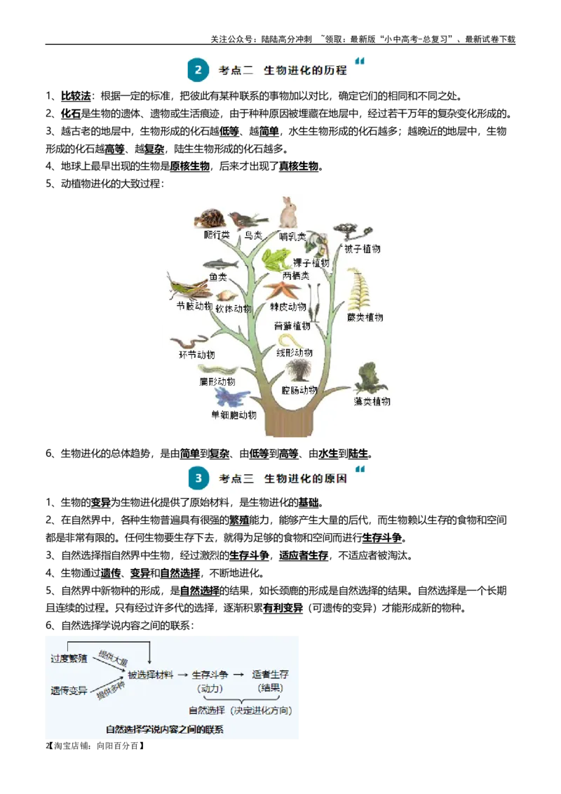 清单14生命起源和生物进化（3大考点+5大高频命题点）（教师版）_02中考总复习（2026版更新中）_08-生物-中考总复习_2024年中考复习资料_一轮复习_教师版（含答案解析）