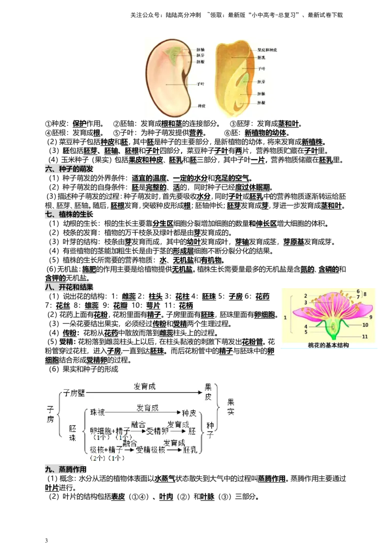 人教版中考生物教材核心知识必背_02中考总复习（2026版更新中）_08-生物-中考总复习_2025中考复习资料_2025中考生物必背知识点