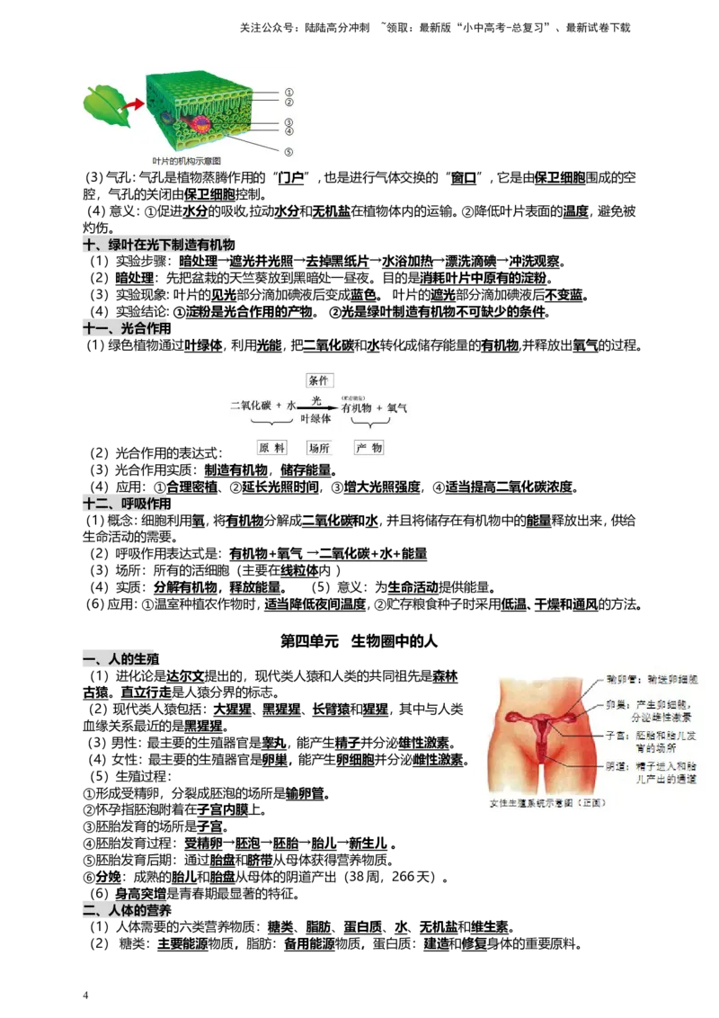 人教版中考生物教材核心知识必背_02中考总复习（2026版更新中）_08-生物-中考总复习_2025中考复习资料_2025中考生物必背知识点