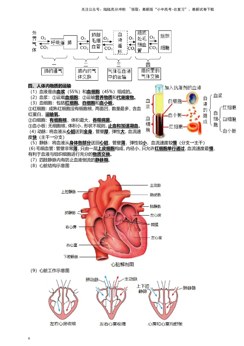 人教版中考生物教材核心知识必背_02中考总复习（2026版更新中）_08-生物-中考总复习_2025中考复习资料_2025中考生物必背知识点