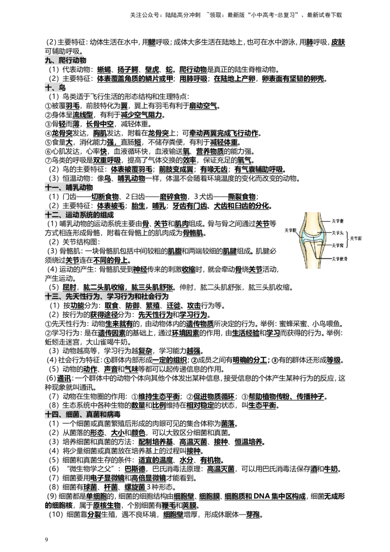 人教版中考生物教材核心知识必背_02中考总复习（2026版更新中）_08-生物-中考总复习_2025中考复习资料_2025中考生物必背知识点