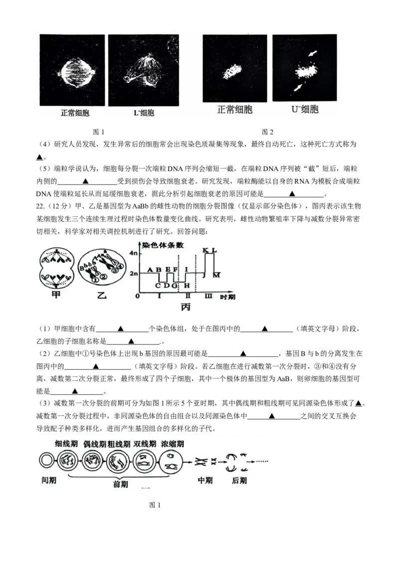 江苏省扬州市2024-2025学年高三上学期开学考试生物Word版含答案_A1502026各地模拟卷（超值！）_9月_240906江苏省扬州市2024-2025学年高三上学期开学考试