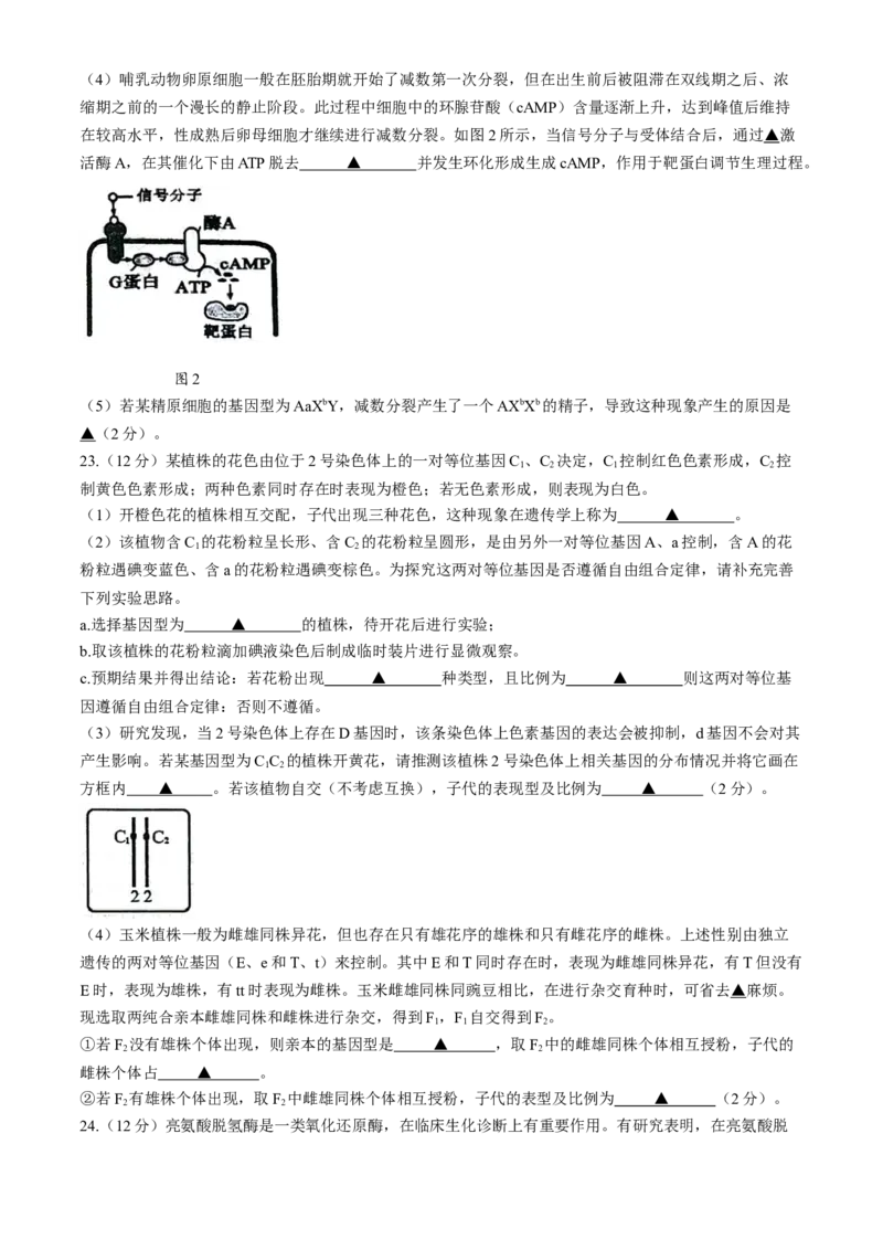 江苏省扬州市2024-2025学年高三上学期开学考试生物Word版含答案_A1502026各地模拟卷（超值！）_9月_240906江苏省扬州市2024-2025学年高三上学期开学考试