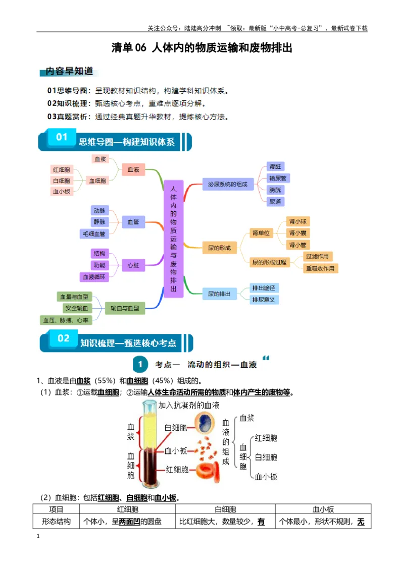 清单06人体内的物质运输与废物排出（6大考点+6大高频命题点）（学生版）_02中考总复习（2026版更新中）_08-生物-中考总复习_2024年中考复习资料_一轮复习
