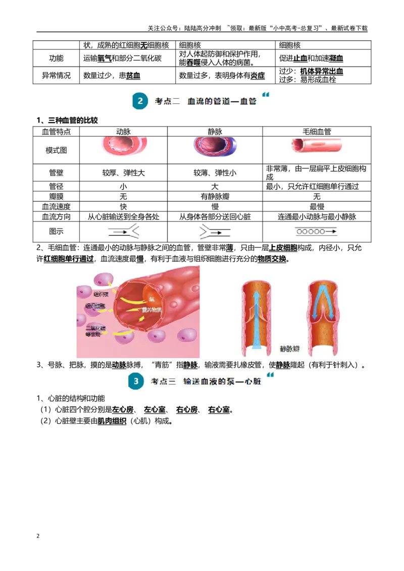 清单06人体内的物质运输与废物排出（6大考点+6大高频命题点）（学生版）_02中考总复习（2026版更新中）_08-生物-中考总复习_2024年中考复习资料_一轮复习