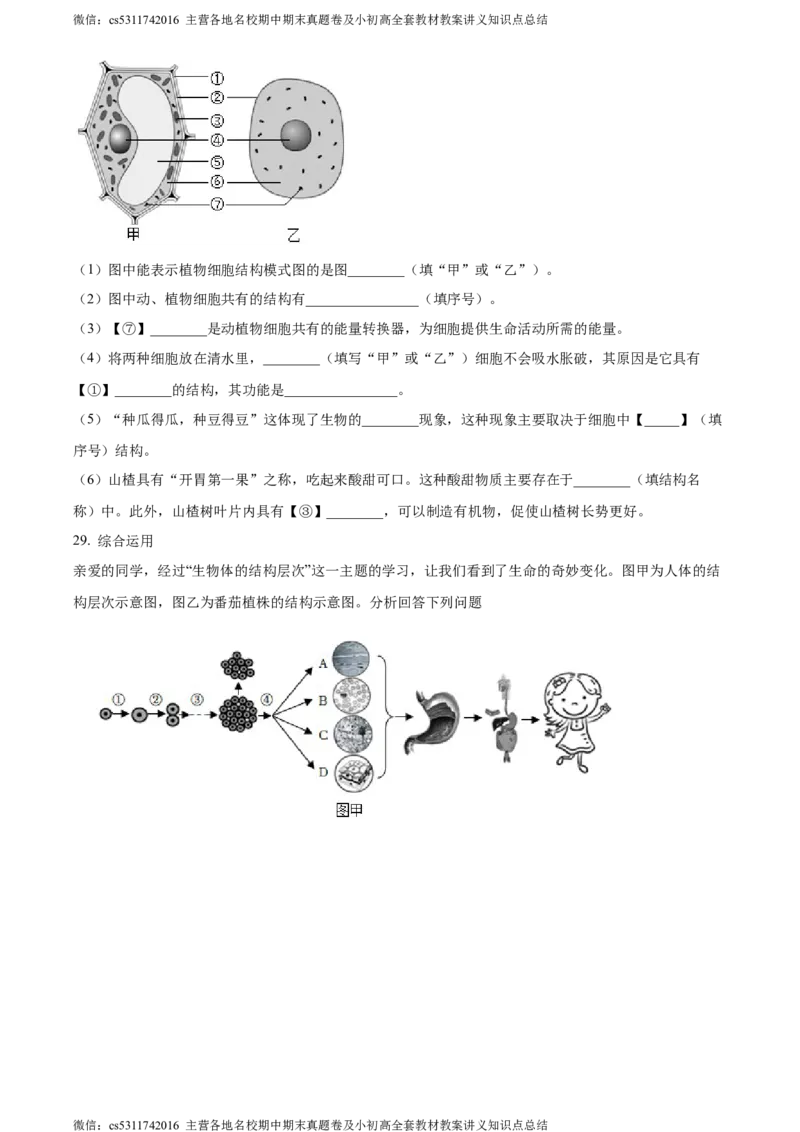 精品解析：天津北京师范大学静海附属学校(天津市静海区北师大实验学校)2023-2024学年七年级上学期期中生物试题（原卷版）(1)_北京初中期末题_C605-京七八九_B京生物七八九_北京7上生物