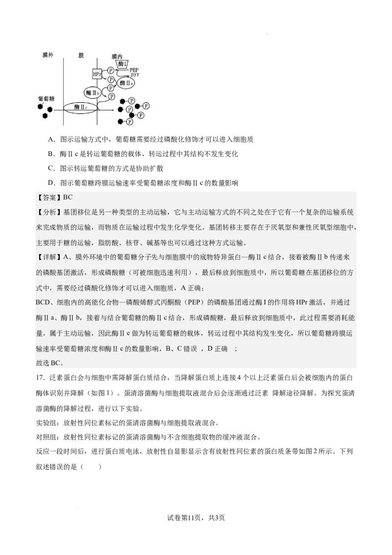 南京市协同体七校2024-2025学年第一学期期中联合考试-解析版_A1502026各地模拟卷（超值！）_12月_241201江苏省南京市协同体七校2025届高三期中联合考试（全科）