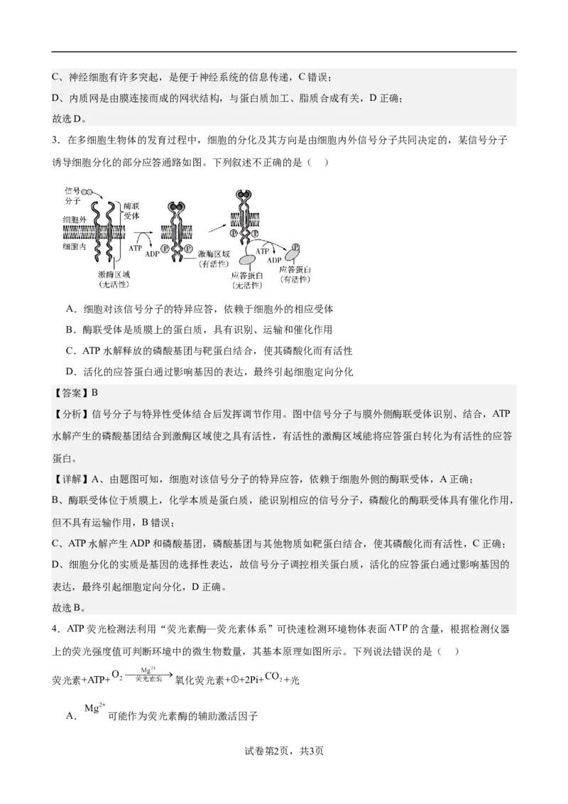 南京市协同体七校2024-2025学年第一学期期中联合考试-解析版_A1502026各地模拟卷（超值！）_12月_241201江苏省南京市协同体七校2025届高三期中联合考试（全科）