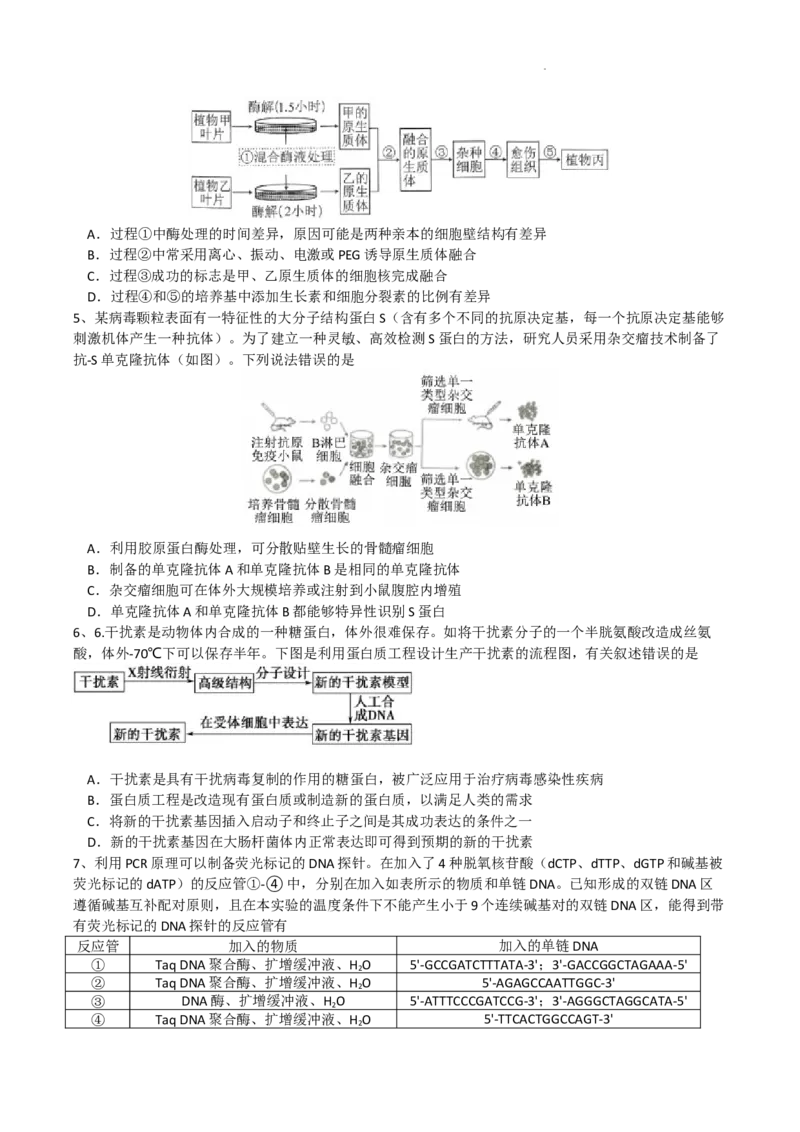 成都石室中学2024-2025学年度上期高2025届定时练习-生物试题_A1502026各地模拟卷（超值！）_9月_240901四川省成都市石室中学2024-2025学年高三上学期入学考