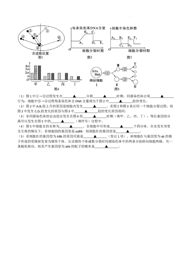 成都石室中学2024-2025学年度上期高2025届定时练习-生物试题_A1502026各地模拟卷（超值！）_9月_240901四川省成都市石室中学2024-2025学年高三上学期入学考