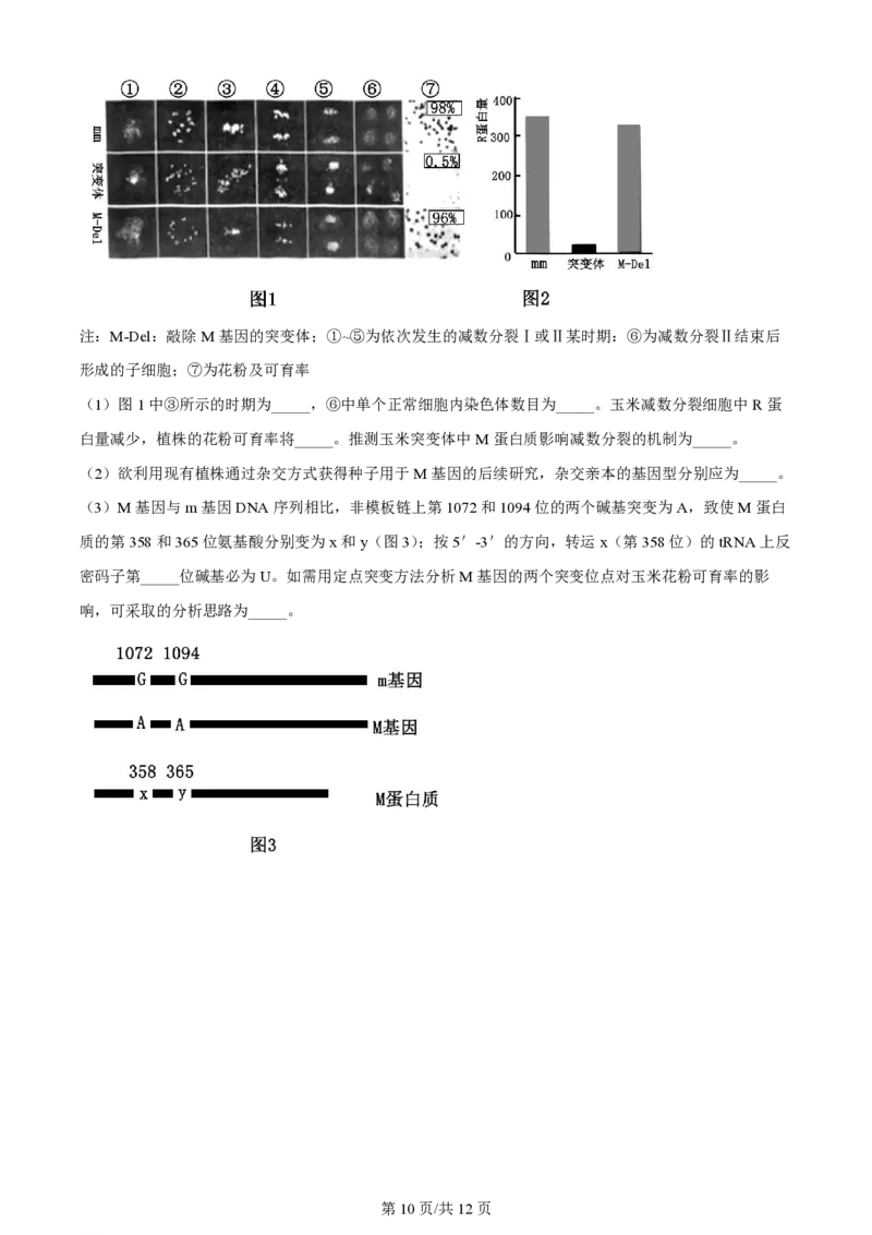 2023年高考生物试卷（重庆）（答案卷）_A1502026各地模拟卷（超值！）_赠送：2008-2024全套高考真题_高考生物真题_新&middot;PDF版2008-2024&middot;高考生物真题_版本2：生物（按省份分类）2008-2024
