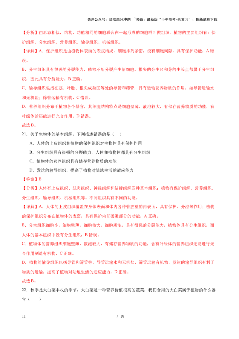 主题01生物体的结构层次（测试）（解析版）_02中考总复习（2026版更新中）_08-生物-中考总复习_2025中考复习资料_2025中考二轮课件ppt+讲义+练习生物_测试