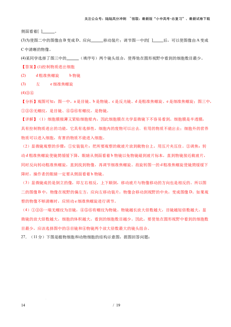 主题01生物体的结构层次（测试）（解析版）_02中考总复习（2026版更新中）_08-生物-中考总复习_2025中考复习资料_2025中考二轮课件ppt+讲义+练习生物_测试